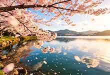 非常有意思的搞笑句子