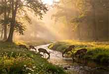 -搞笑语录教你淡定骂人